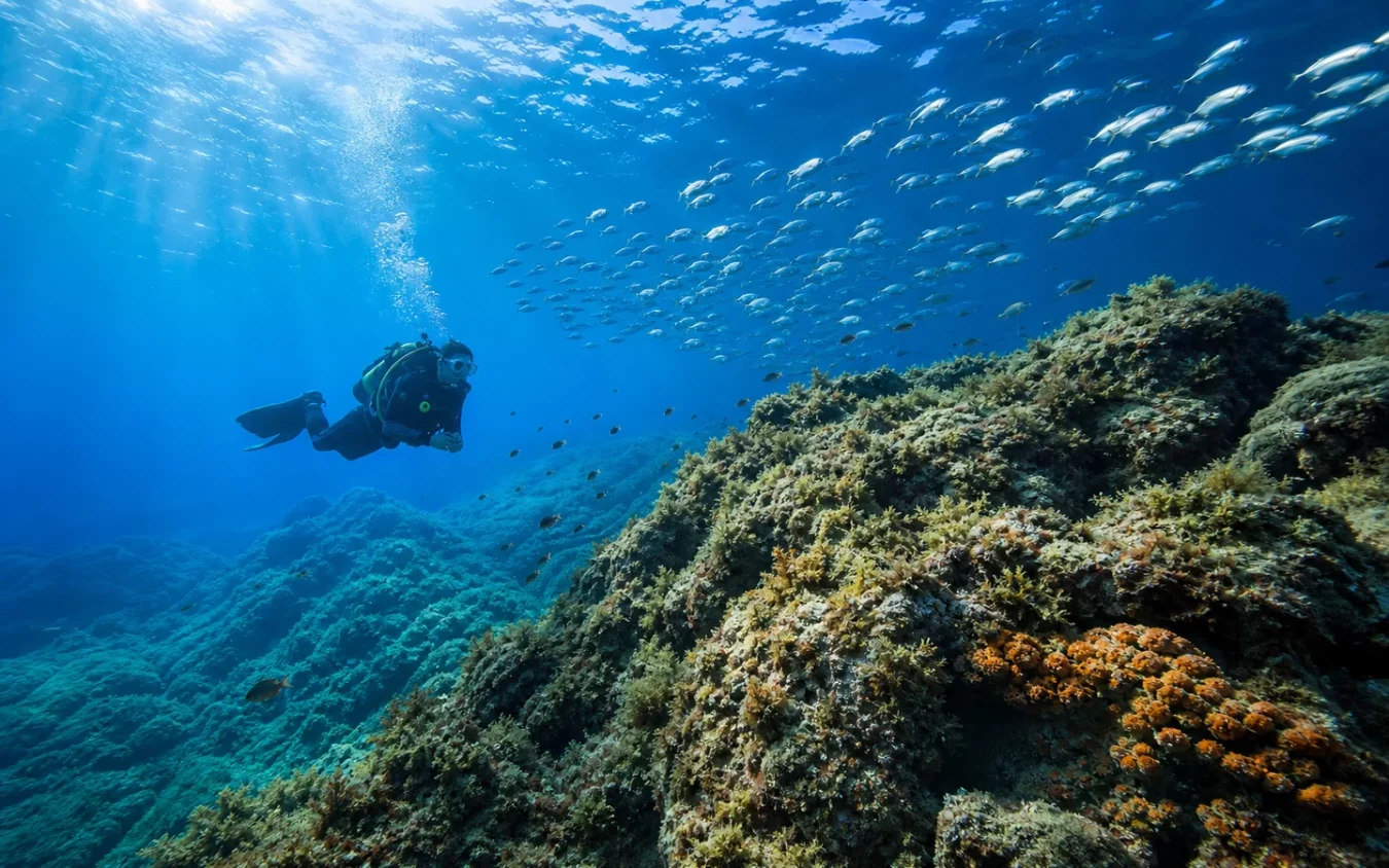Buceo en la Reserva Marina de Cabo de Palos